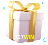 Receba seus bônus de boas-vindas no 307WIN