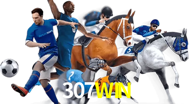 307WIN