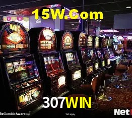 Login Seguro 307WIN