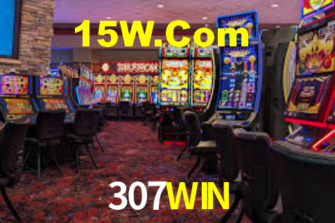 307WIN