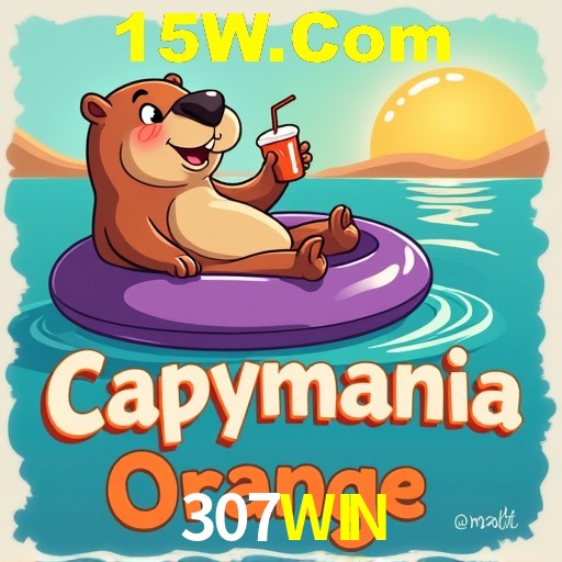 Etapas da instalação do aplicativo 307WIN no Android