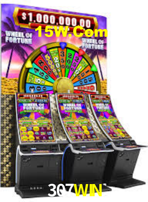 307win.com