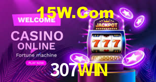 307WIN