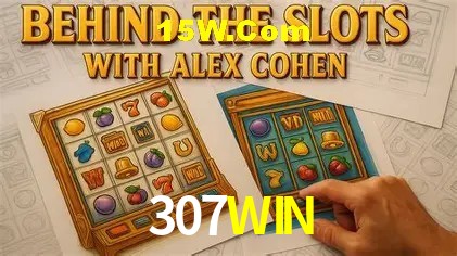 Sistemas de Segurança 307WIN