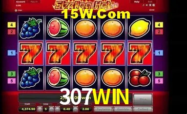 Promoção Relâmpago 307WIN