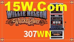 307WIN App Interface