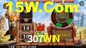 VIP Casino 307WIN